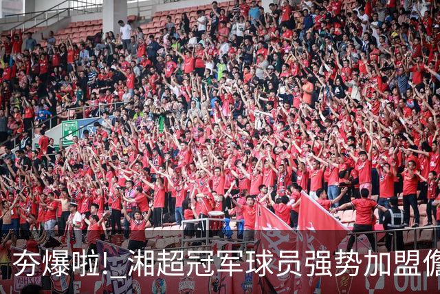 夯爆啦! 湘超冠军球员强势加盟儋州队! 琼超球员名单出炉→