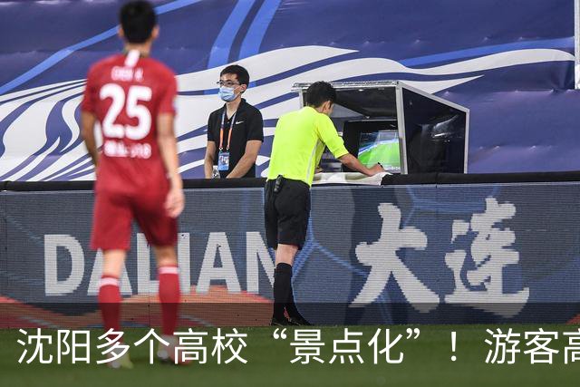 沈阳多个高校“景点化”！游客高兴，学生却懵了...